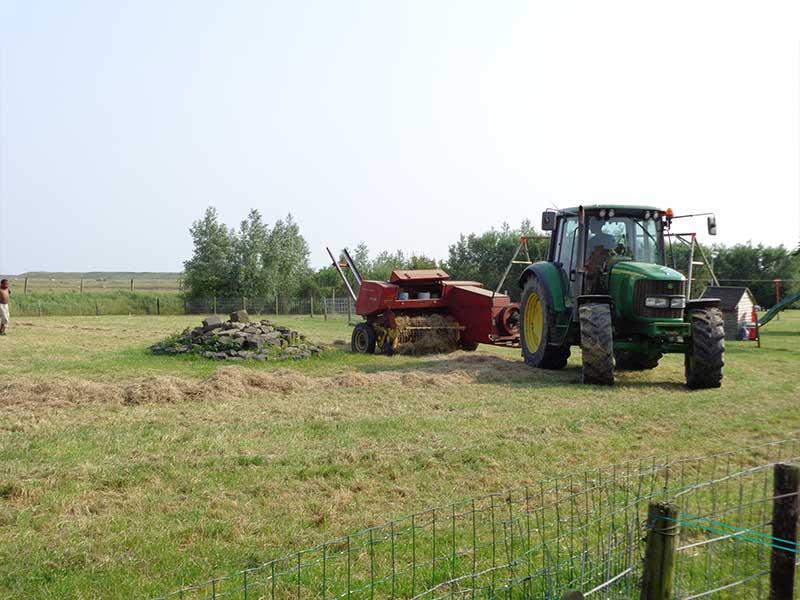 doutepoppe-boerderij-maaien