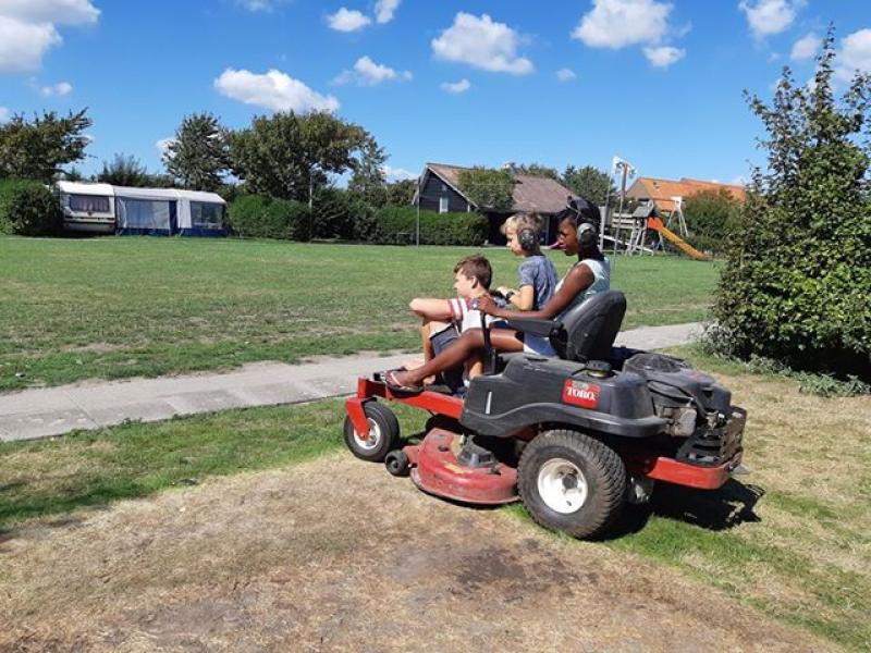 grasmaaien