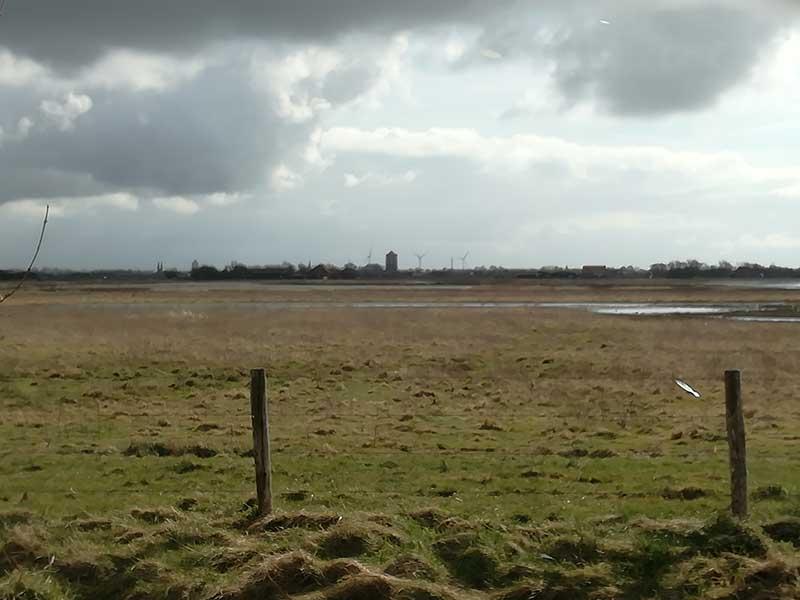 doutepoppe-zilverreiger-008