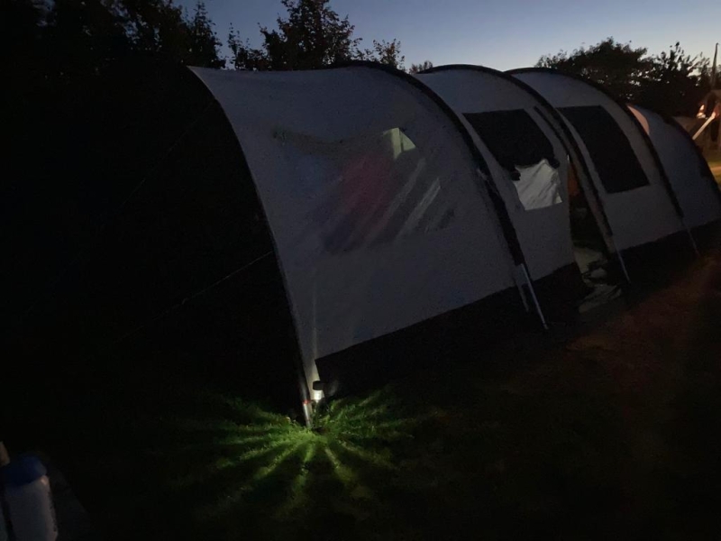 zwaluw bij nacht